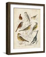 Gathering of Birds I-G. Lubbert-Framed Art Print