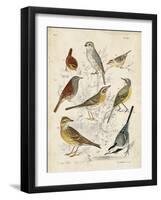 Gathering of Birds I-G. Lubbert-Framed Art Print