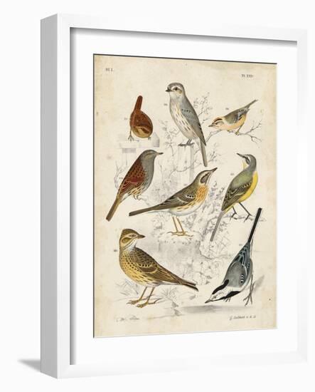 Gathering of Birds I-G. Lubbert-Framed Art Print