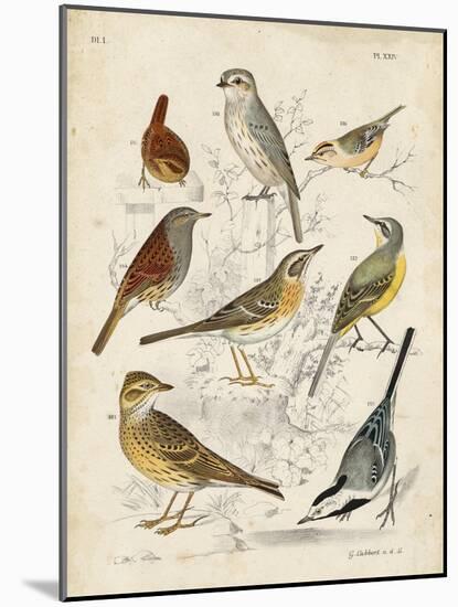 Gathering of Birds I-G. Lubbert-Mounted Art Print