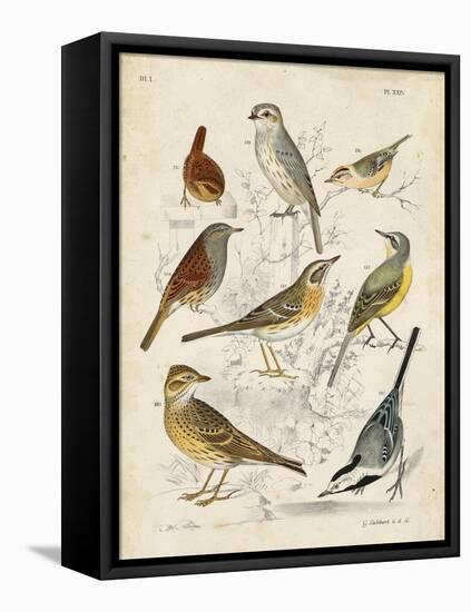 Gathering of Birds I-G. Lubbert-Framed Stretched Canvas