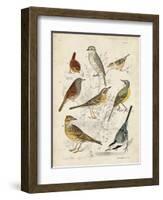 Gathering of Birds I-G. Lubbert-Framed Art Print