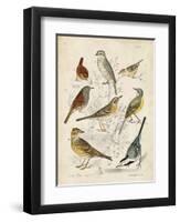 Gathering of Birds I-G. Lubbert-Framed Art Print