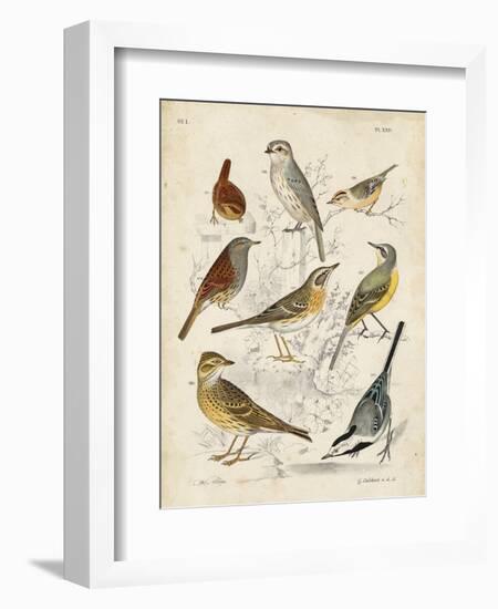 Gathering of Birds I-G. Lubbert-Framed Art Print