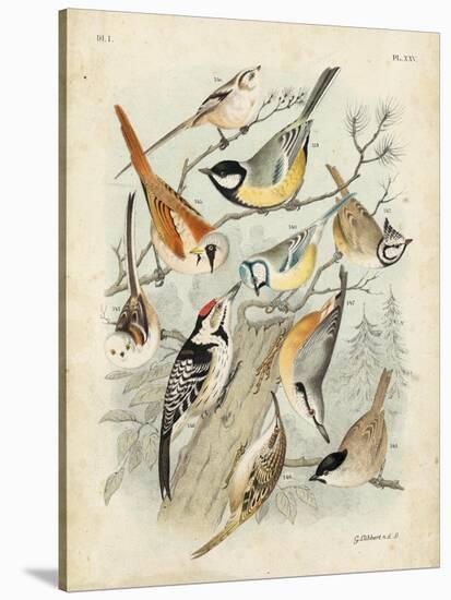 Gathering of Birds II-G. Lubbert-Stretched Canvas