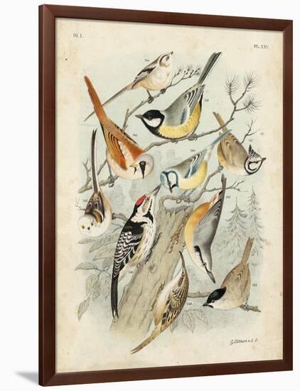 Gathering of Birds II-G. Lubbert-Framed Art Print