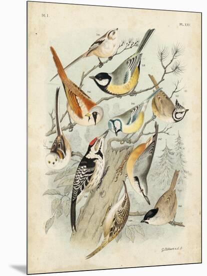 Gathering of Birds II-G. Lubbert-Mounted Art Print