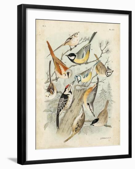 Gathering of Birds II-G. Lubbert-Framed Art Print