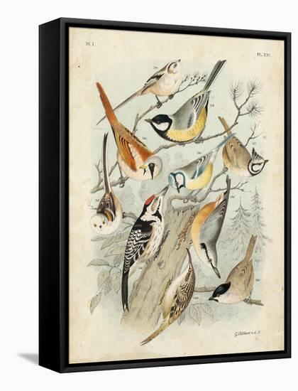 Gathering of Birds II-G. Lubbert-Framed Stretched Canvas