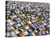 Gathering of Muslim Men Pray to Allah, End of Muslim Holy Month of Ramadan, Mali-Nigel Pavitt-Stretched Canvas