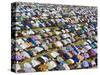 Gathering of Muslim Men Pray to Allah, End of Muslim Holy Month of Ramadan, Mali-Nigel Pavitt-Stretched Canvas