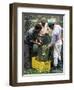 Gathering Olives for Fine Extra-Virgin Oil, Frantoio Galantino, Bisceglie, Puglia, Italy-Michael Newton-Framed Photographic Print