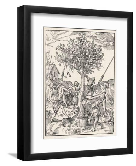Art Print, , large