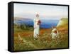 Gathering Poppies-Henry John Yeend King-Framed Stretched Canvas