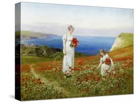 Gathering Poppies-Henry John Yeend King-Stretched Canvas