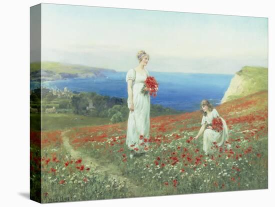 Gathering Poppies-Henry John Yeend King-Stretched Canvas