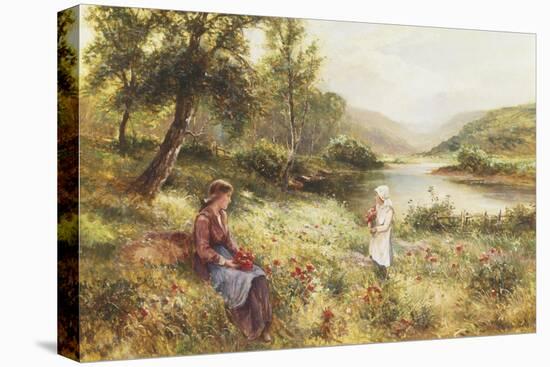 Gathering Poppies-Ernest Walbourn-Stretched Canvas