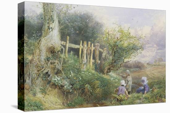 Gathering Primroses-Myles Birket Foster-Stretched Canvas