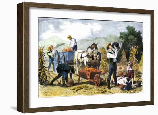 Gathering Pumpkins, an October Scene in New England, c.1860-null-Framed Giclee Print