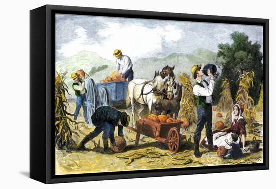 Gathering Pumpkins, an October Scene in New England, c.1860-null-Framed Stretched Canvas