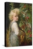 Gathering Red Berries-Karl Wilhelm Friedrich Bauerle-Stretched Canvas