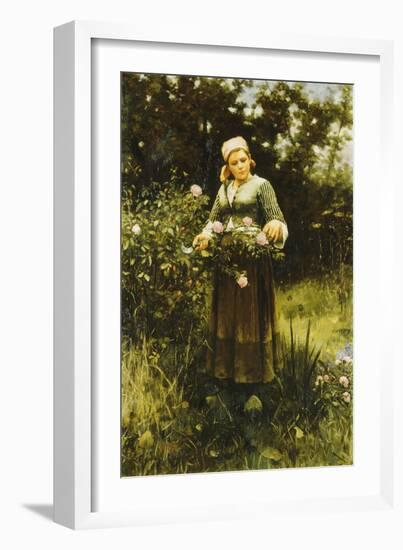 Gathering Roses-Daniel Ridgway Knight-Framed Giclee Print