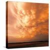 Gathering Storm II-Adam Brock-Stretched Canvas