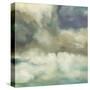 Gathering Storm-Liz Jardine-Stretched Canvas