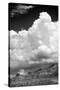 Gathering Summer Storm BW-Douglas Taylor-Stretched Canvas