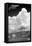 Gathering Summer Storm BW-Douglas Taylor-Framed Stretched Canvas