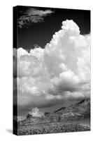 Gathering Summer Storm BW-Douglas Taylor-Stretched Canvas