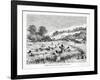 Gathering the Coca Plant (Erythroxylum Coc) in Bolivia, 1877-null-Framed Giclee Print