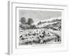 Gathering the Coca Plant (Erythroxylum Coc) in Bolivia, 1877-null-Framed Giclee Print