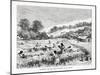 Gathering the Coca Plant (Erythroxylum Coc) in Bolivia, 1877-null-Mounted Giclee Print