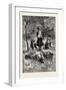 Gathering the Dandelions, 1882-null-Framed Giclee Print