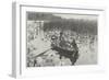 Gathering Water-Lilies (Collection of Water Lilies)-Peter Henry Emerson-Framed Giclee Print