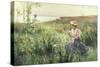 Gathering Wild Flowers-Alfred Augustus Glendenning-Stretched Canvas