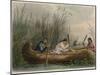 Gathering Wild Rice-Seth Eastman-Mounted Giclee Print