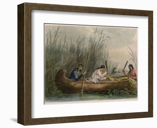 Gathering Wild Rice-Seth Eastman-Framed Premium Giclee Print