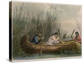 Gathering Wild Rice-Seth Eastman-Stretched Canvas