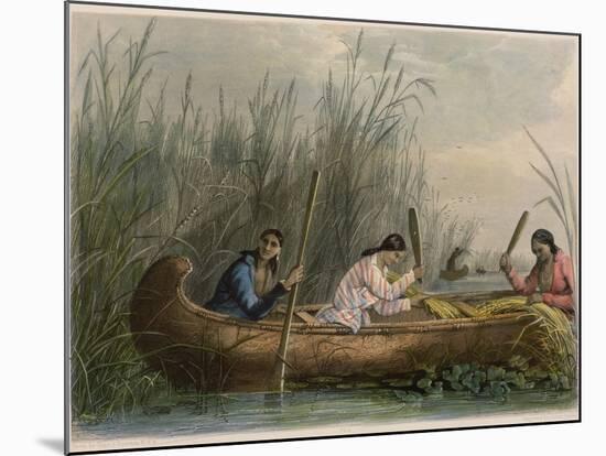 Gathering Wild Rice-Seth Eastman-Mounted Giclee Print