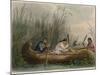 Gathering Wild Rice-Seth Eastman-Mounted Giclee Print