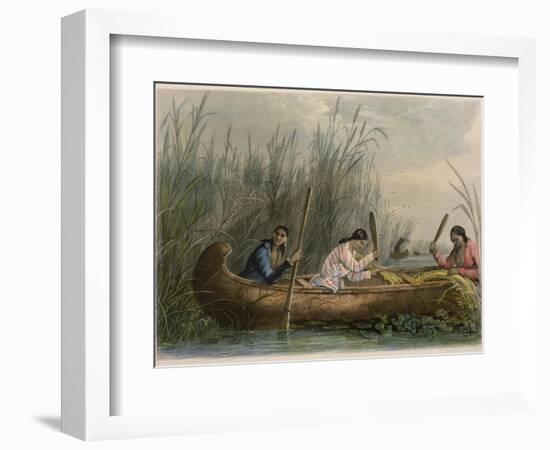 Gathering Wild Rice-Seth Eastman-Framed Giclee Print