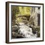 Gatineau Park Ruins-Kevin Dodds-Framed Giclee Print