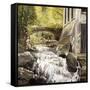 Gatineau Park Ruins-Kevin Dodds-Framed Stretched Canvas