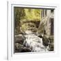 Gatineau Park Ruins-Kevin Dodds-Framed Giclee Print