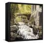 Gatineau Park Ruins-Kevin Dodds-Framed Stretched Canvas