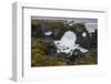 Gatklettur basalt rock arch on the Snaefellsness Peninsula, Iceland, Polar Regions-Jon Reaves-Framed Photographic Print