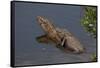 Gator Alley At The D'Olive Boardwalk Park In Daphne, Alabama-Carol Highsmith-Framed Stretched Canvas