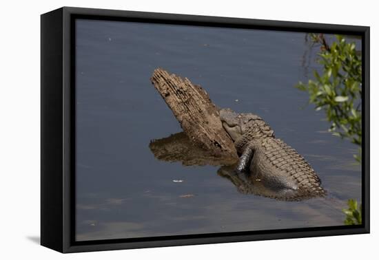 Gator Alley At The D'Olive Boardwalk Park In Daphne, Alabama-Carol Highsmith-Framed Stretched Canvas